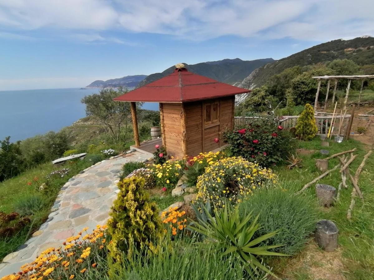 Logement De Charme Avec Piscine Privative Pino Exterior foto