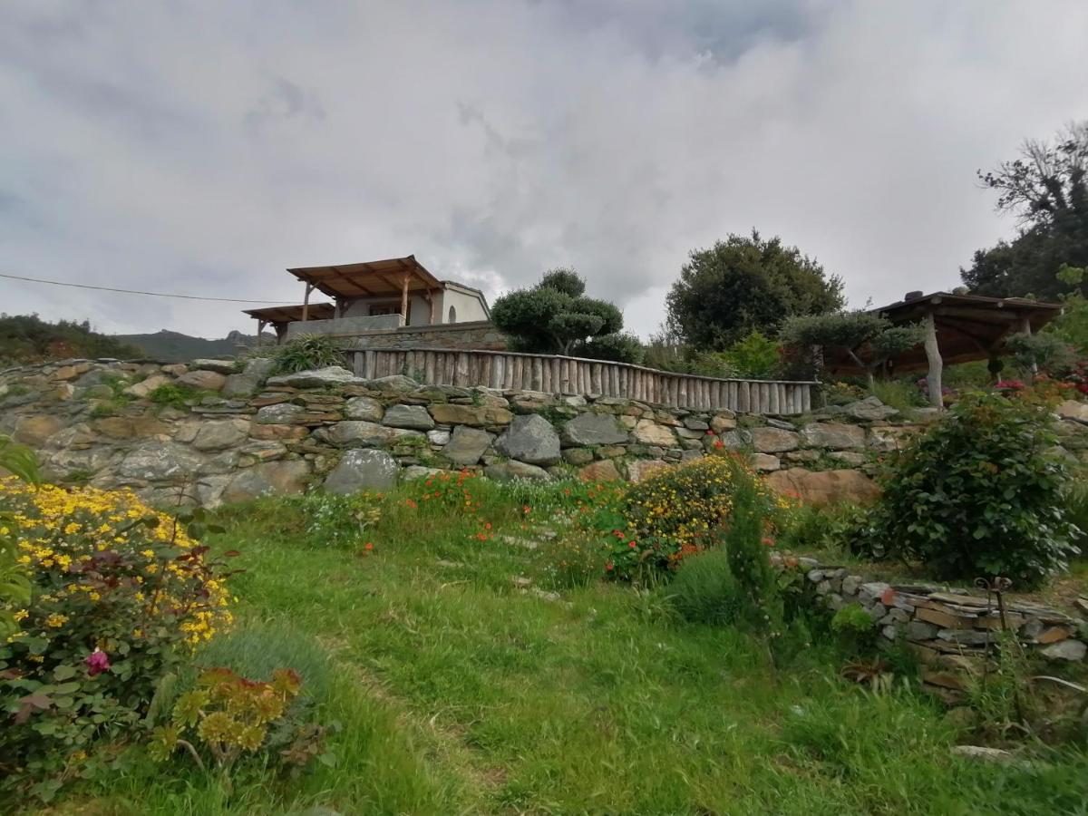 Logement De Charme Avec Piscine Privative Pino Exterior foto